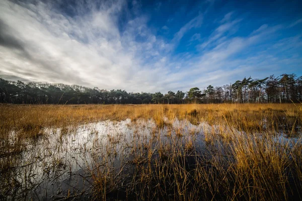 Paisaje Páramos Con Reflexión Imágenes de stock libres de derechos