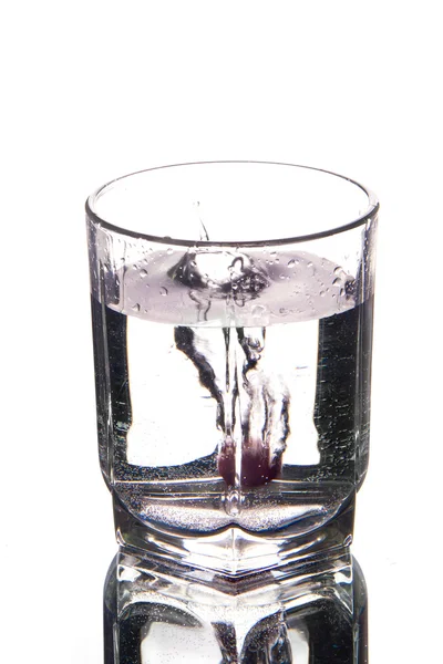 Cranberry in een water — Stockfoto