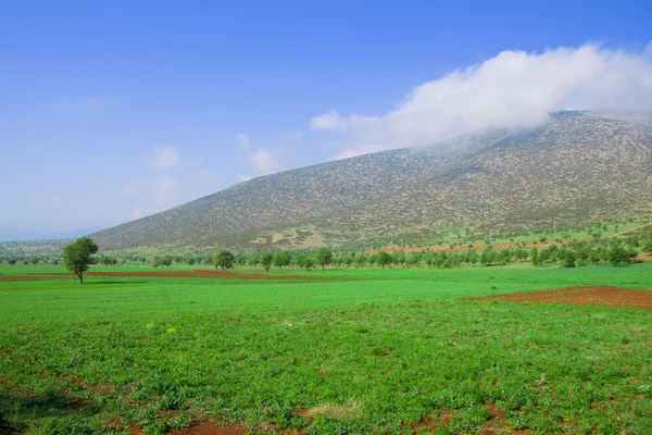 Турция - спокойный пейзаж с горами — стоковое фото