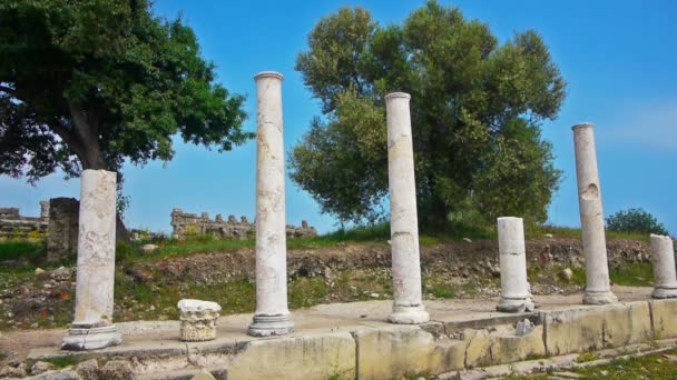 Ruines anciennes — Video