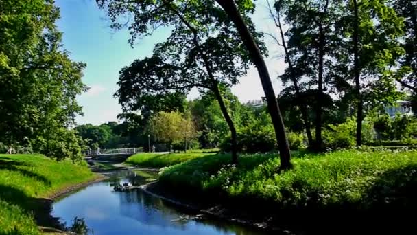 Парк с рекой — стоковое видео