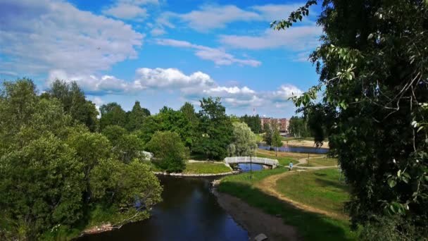 Park mit kleinem Fluss — Stockvideo
