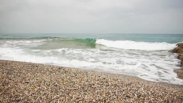 Surfe no mar — Vídeo de Stock