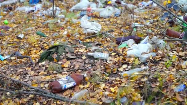 Garbage among leaves — Stock Video