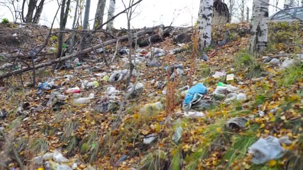 Sampah di hutan — Stok Video