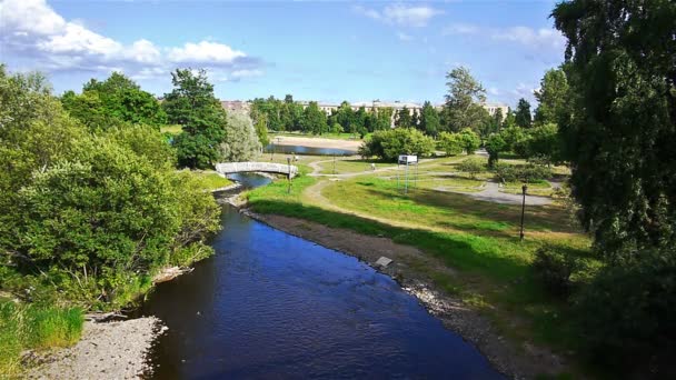 Park mit kleinem Fluss — Stockvideo