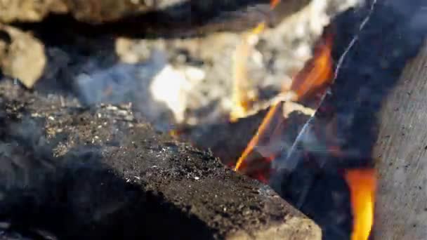 Campfire — Videoclip de stoc