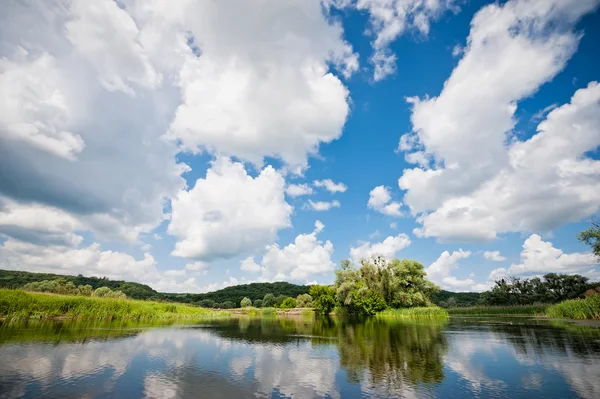 Reflexion der Bäume im Fluss im Morgengrauen — Stockfoto