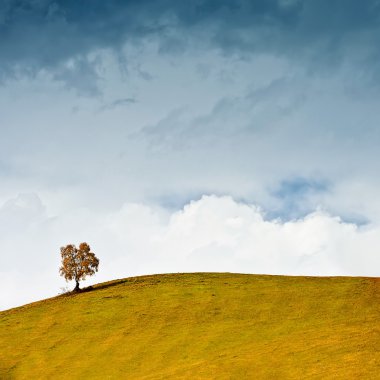 Yalnız ağaç Clear sky karşı yamaca