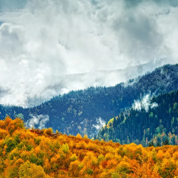 A paisagem de outono de montanha — Fotografia de Stock