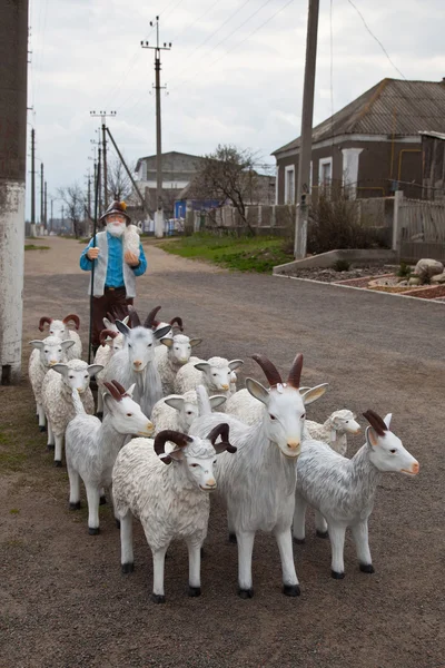 Стадо овец с пастухом и козой впереди — стоковое фото