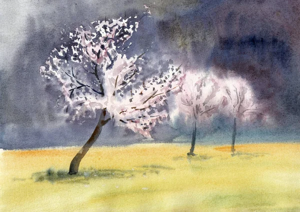盛开的杏园里有三棵树 手绘水彩画在纸纹理上 栅格位图图像 — 图库照片