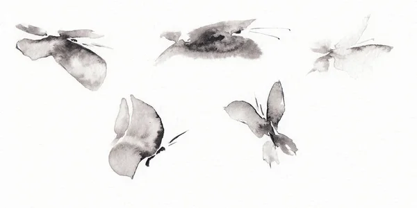 设置五个不同的蝴蝶图片形式 手绘中国墨水在纸纹理上 栅格位图图像 — 图库照片