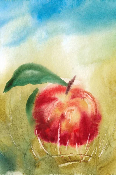 红色苹果 绿叶在草坪上 特写素描作品 手绘水彩画在纸纹理上 栅格位图图像 — 图库照片