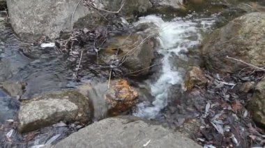 Karlar eridikten sonra ormandaki ilkbahar deresi. Baharın başlarında