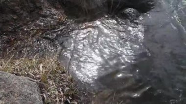 Güneş ışınları suya hafif bir dalgalanmayla yansıyor. Baharın başlarında