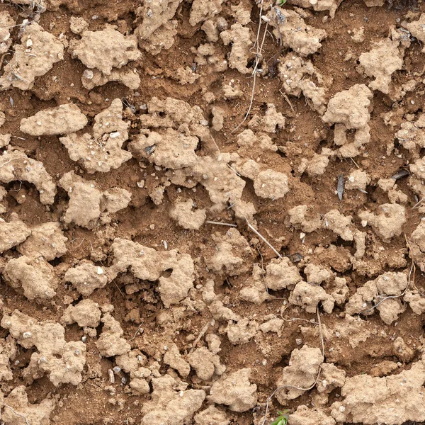 大细胞无缝隙天然泥土及黏土质地 — 图库照片