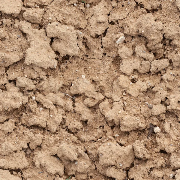 Seamless Natural Dry Earth Clay Texture Large Cells Closeup — Stock Photo, Image