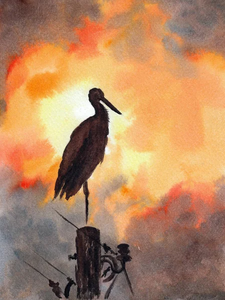 Silhouette Alone Stork Stands One Leg Telegraph Pole Spectacular Sunset — 图库照片