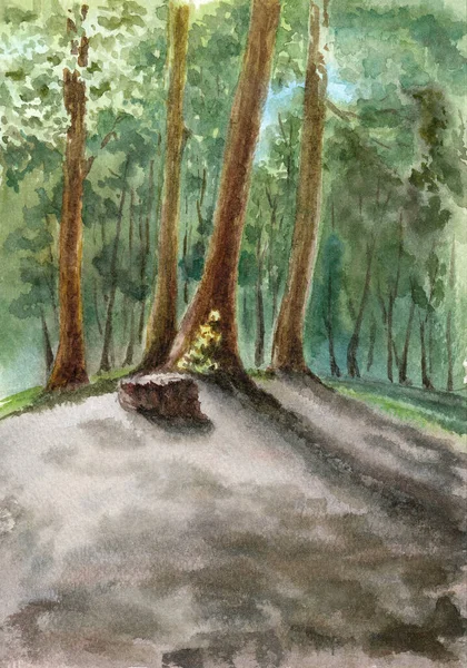 Group Trees Stump Clearing Forest Hand Drawn Watercolors Paper Textures — 스톡 사진