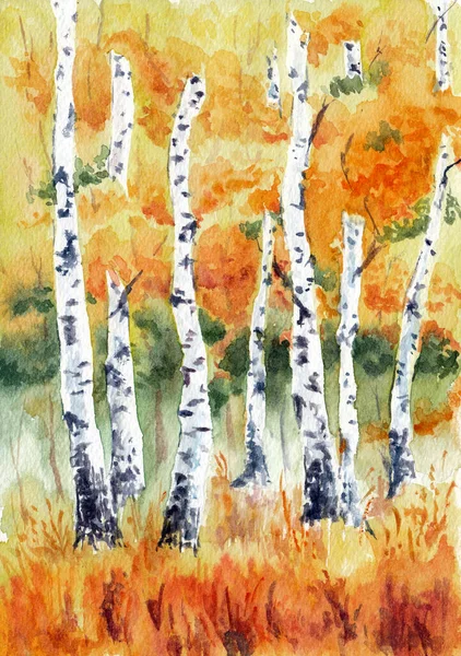 Birch Trees Autumn Forest Closeup Hand Drawn Watercolors Paper Textures — 图库照片