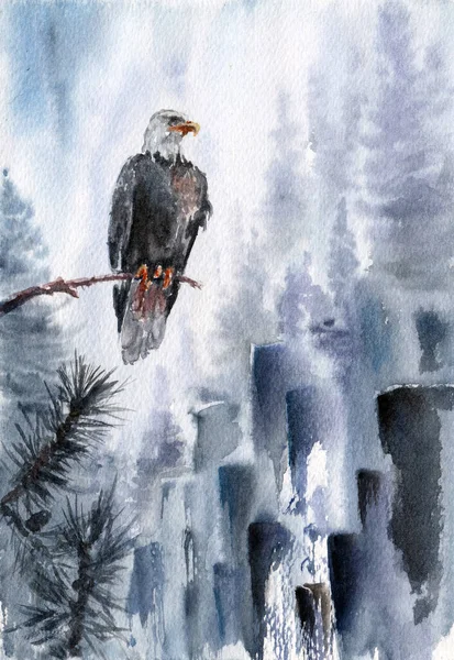 Bald Eagle Sits Branch Looks Foggy Landscape Pine Trees Rocks — 스톡 사진