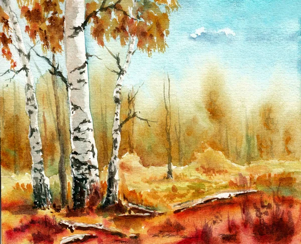 Group Birch Trees Autumn Forest Closeup Hand Drawn Watercolors Paper — Stock Photo, Image