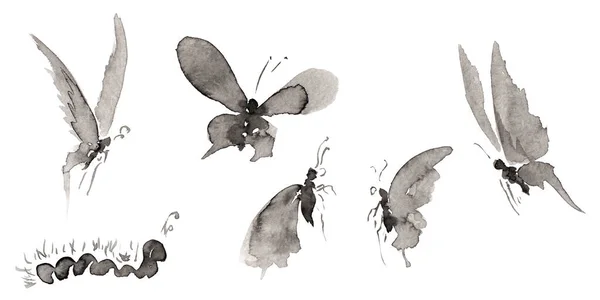 设定4与五种不同形式的蝴蝶和毛毛虫图片隔离在白色 手绘中国墨水在纸纹理上 栅格位图图像 — 图库照片