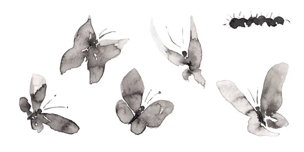 Állítsa Hét Különböző Formában Pillangó Hernyó Képek Elszigetelt Fehér Kézzel — Stock Fotó