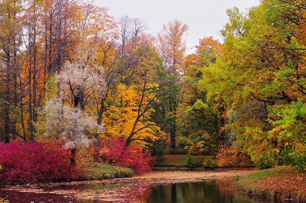 Paesaggio d'autunno. Russia — Foto Stock