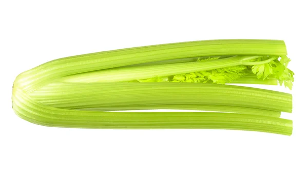 Fresh ripe celery — ストック写真