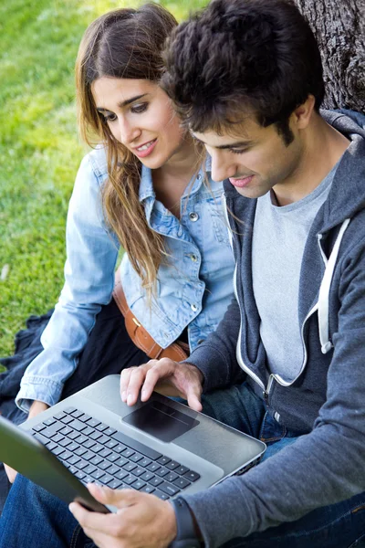 Porträtt av unga par på parken med hjälp av en bärbar dator — Stockfoto