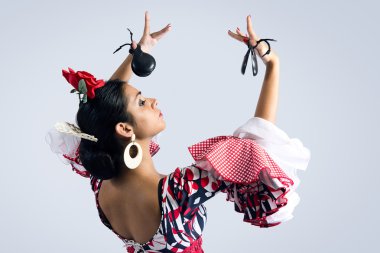 Flamenco dancer in beautiful dress clipart