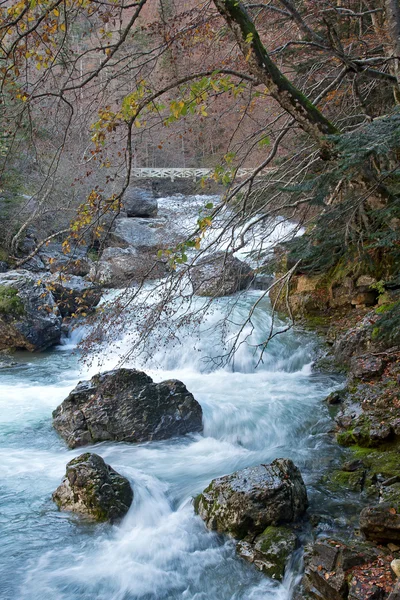 Herfst rivier in ordesa nationaal park, Pyreneeën, huesca, aragon, — Stockfoto