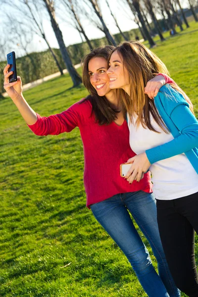 Een groep van vrienden nemen van foto's met een smartphone — Stockfoto