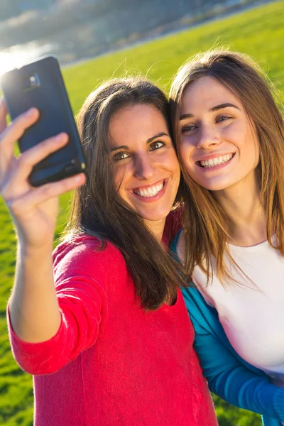 Um grupo de amigos tirando fotos com um smartphone — Fotografia de Stock