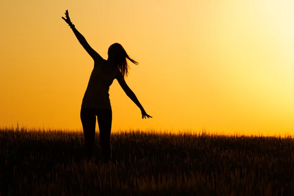 Silueta de la joven feliz en el campo . — Foto de Stock