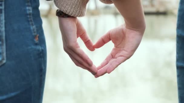 Video Close Two Young Women Making Heart Her Hands Front — Stock Video