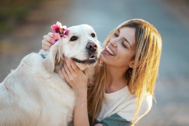 Güzel bir kadının, güzel Golden Retriever köpeğini okşarken ve pohpohlarken onun kafasına bir çiçek yerleştirirken baharda kiraz tarlasında otururken.. 