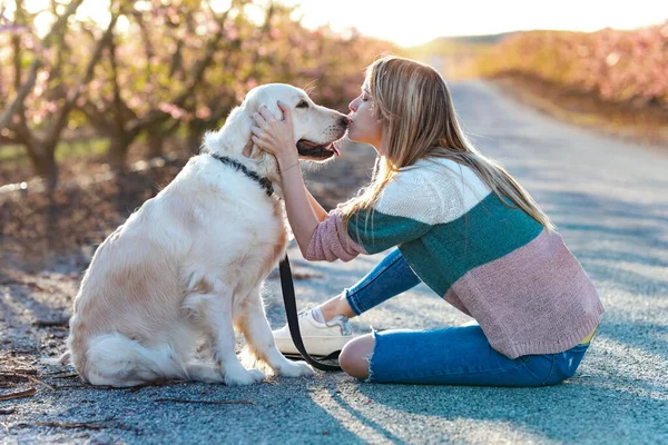 Tiros Bela Mulher Acariciando Mimando Seu Lindo Cão Golden Retriever — Fotografia de Stock