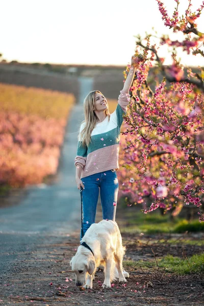 Shot Attractive Young Woman Walking Her Lovely Golden Retriever Dog — Stock Photo, Image
