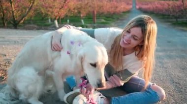 Güzel bir kadının, baharda kiraz tarlasında köpeğini okşayıp pohpohladığı ve pohladığı bir video.. 