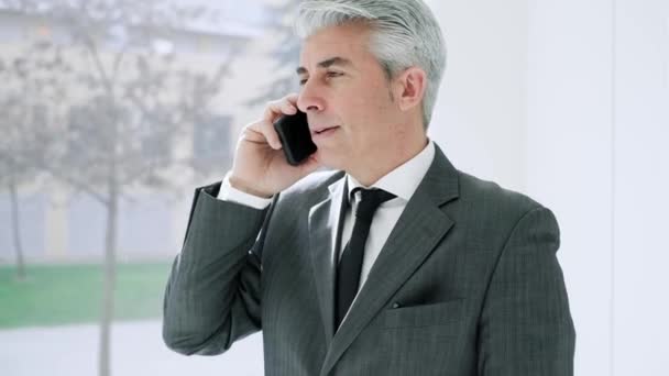 Video Elegant Mature Businessman Talking Mobile Phone While Standing Next — Stock Video