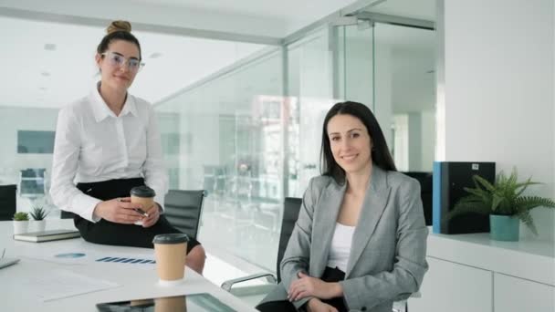 Video Dos Mujeres Negocios Que Trabajan Juntas Con Ordenador Mientras — Vídeos de Stock