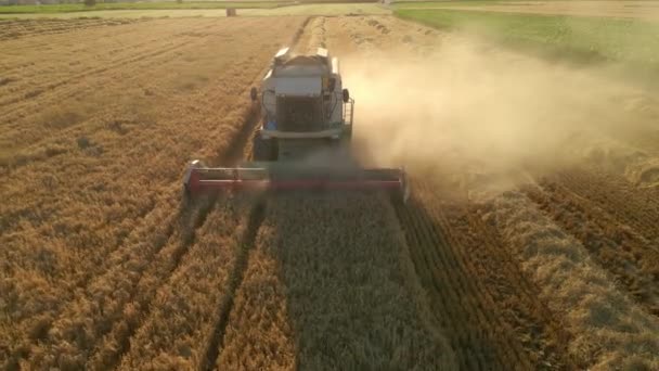 Video Van Luchtfoto Van Maaidorsers Die Tarwe Oogsten Door Een — Stockvideo