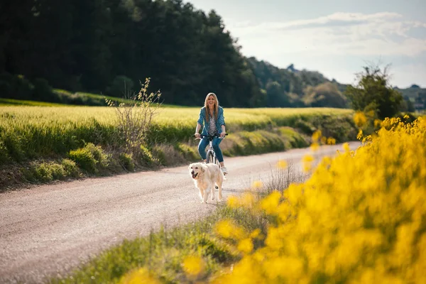 Tecavüze Uğramış Tarlada Köpeğini Gezdirirken Bisiklet Süren Güzel Bir Genç — Stok fotoğraf