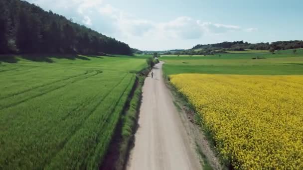 Відео Привабливої Молодої Жінки Яка Грає Своєю Красивою Золотою Собакою — стокове відео