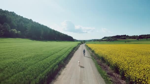 Vídeo Menina Bonita Andando Bicicleta Enquanto Passeia Seu Cão Parque — Vídeo de Stock