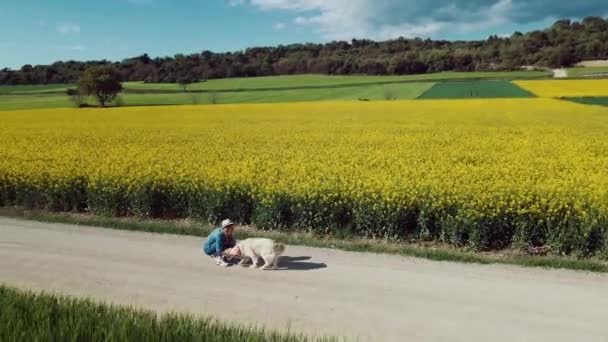 Videó Vonzó Fiatal Játszik Vele Gyönyörű Golden Retriever Kutya Miközben — Stock videók