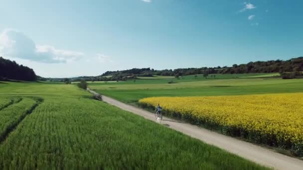 Video Krásné Mladé Dívky Kole Při Procházce Svého Psa Parku — Stock video